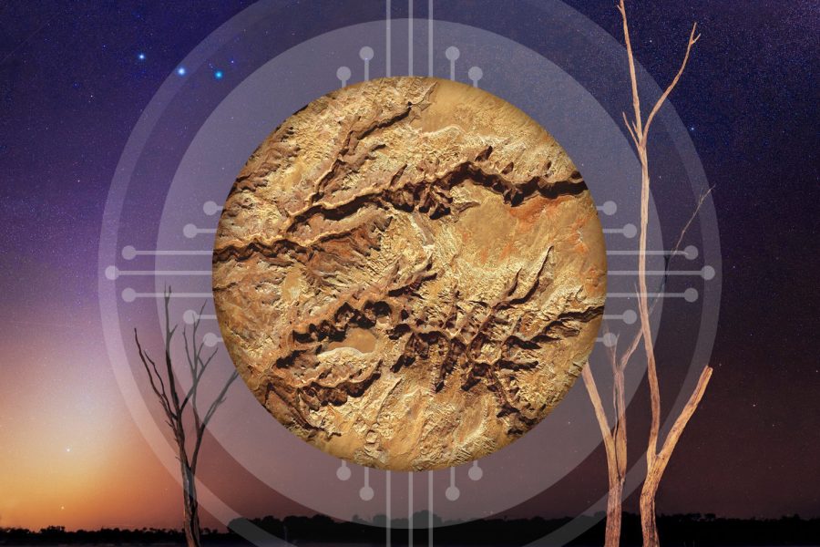Planetary Grid Music Collection Remixed